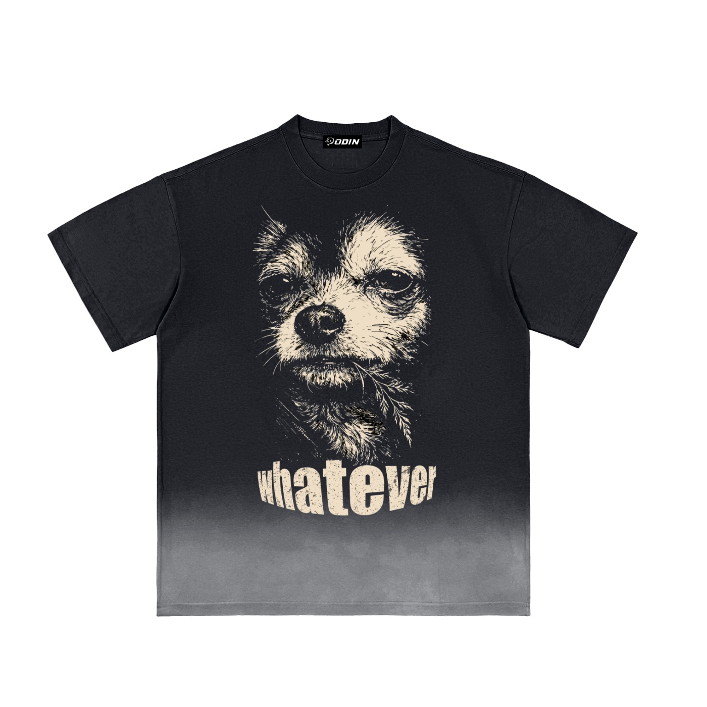 Odin Sunfade Vintage Washed T-Shirt